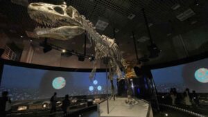 Musée national de la Nature et des Sciences de Tokyo
